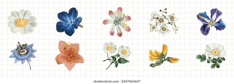 A collection of watercolor flowers on grid paper. Features blue, pink, yellow, and white flowers. Delicate floral designs on a subtle grid background. Botanical elements, vector set.