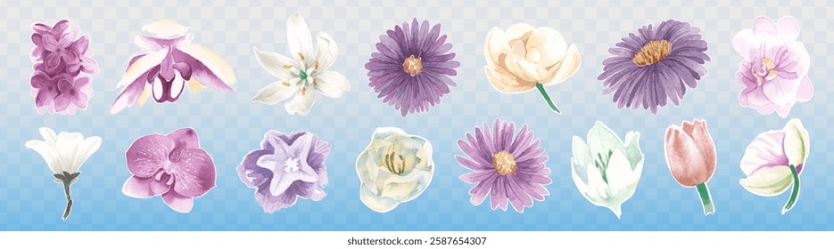 A collection of watercolor flowers, orchids, daisies, and tulips. The flowers are in shades of purple, pink, and white, set against a gradient background. Spring flower illustrations, vector set.