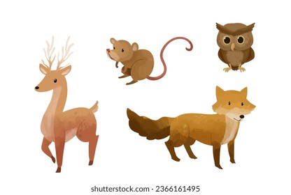 Collection of watercolor forest animals vector