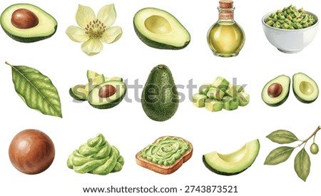 A collection of watercolor illustrations featuring whole and sliced avocados, guacamole, avocado oil, and avocado toast isolated on white.