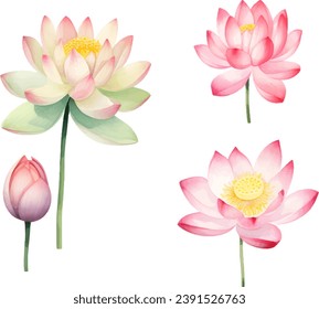 Kollektion der Aquarellfarben Lotus Flower Clipart