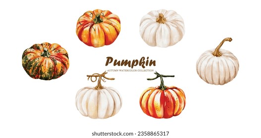 Collection Watercolor of Pumpkins vector design great for cards, banners, headers, party posters or decorate your artwork.