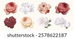A collection of watercolor roses in colors. Roses include red, white, and pink. Each rose is detailed, showcasing petals and leaves on a grid background. Spring flower illustrations, isolated vectors.