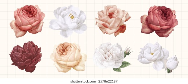 A collection of watercolor roses in colors. Roses include red, white, and pink. Each rose is detailed, showcasing petals and leaves on a grid background. Spring flower illustrations, isolated vectors.