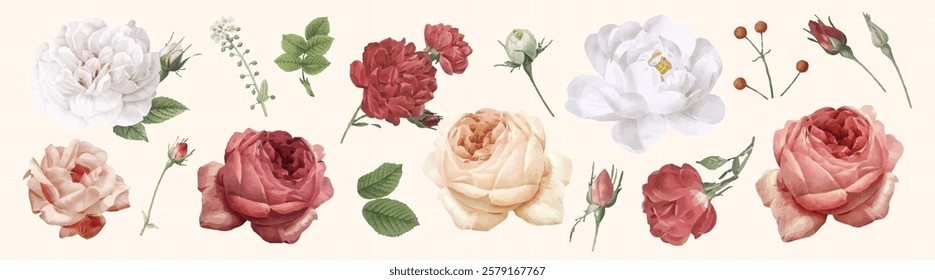 A collection of watercolor roses in various colors, including red, white, and pink. The floral arrangement features detailed petals and green leaves. Spring flower illustrations, isolated vector set.