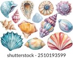 Collection of watercolor sea shells