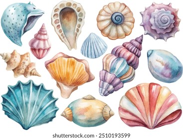 Collection of watercolor sea shells