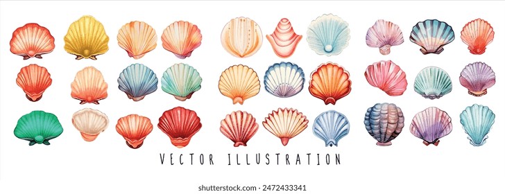 collection of watercolor seashells isolated on white background. Ocean marine sea element graphic design. Vector illustration