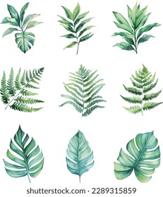 Colección de plantas tropicales vectoriales de acuarela sobre fondo blanco