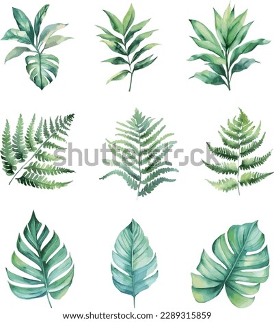 Collection of watercolor vector green tropical plants on white background