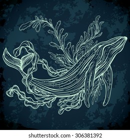 Collection of whale, marine plants, leaves and seaweed. Vintage set of black and white hand drawn marine life. Isolated vector illustration in line art style.Design for summer beach, decorations.