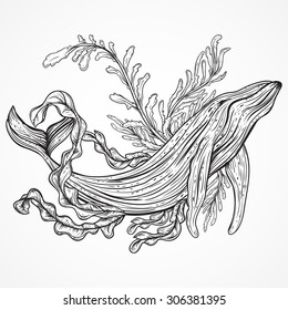 Collection of whale, marine plants, leaves and seaweed. Vintage set of black and white hand drawn marine life. Isolated vector illustration in line art style.Design for summer beach, decorations.