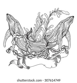 Collection of whale, marine plants, seaweed and ribbon banner.Vintage set of black and white hand drawn marine life.Isolated vector illustration in line art style.Design for summer beach, decorations.