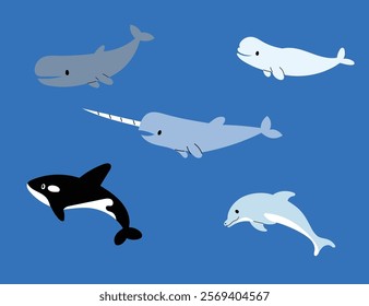 collection of whale, orca, dolphin, shark and Risso's dolphin illustration