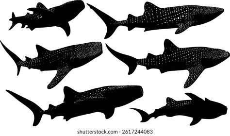 a collection of whale shark silhouettes with distinct fins and spotted patterns, swimming in various directions on white