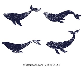 Collection of whales textured silhouettes. Vector illustration isolated on white background
