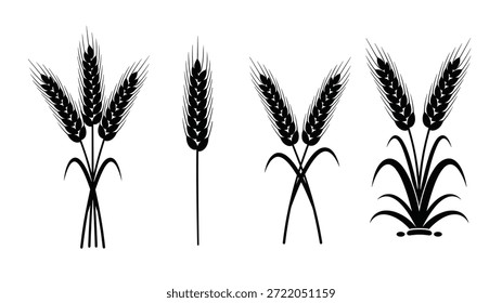 Eine Sammlung von Weizenillustrationen in verschiedenen Stilen und Anordnungen, alle in Schwarz und Weiß, mit Bezug auf die Datei '79'.