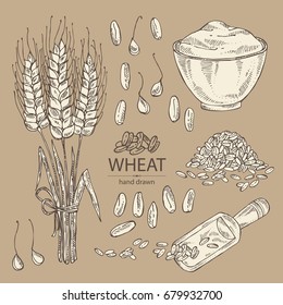 Collection of wheat: plata with wheat flour and grain. Vector hand drawn illustration