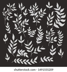 Collection of white branches with leaves. Vector EPS 10.