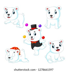 the collection of the white circus bear playing with the ball with the different posing