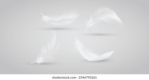 Collection of White feather floating on transparent background. Collection of White Feathers Floating on Transparent Background for Elegant Design and Nature Themes