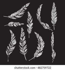 Collection of white feathers isolated on black background.Handmade work.Vector illustration