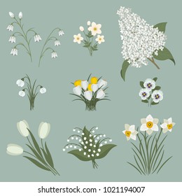 Collection of white flowers on a gray background. There are tulips, snowdrops, lilies of the valley, bells, pansies, lilac, anemone, crocuses and daffodils in the picture. Vector illustration.