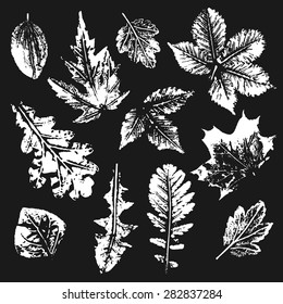 Collection of white leaves imprints on black background