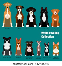 collection of white paw dog