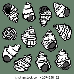 Collection of white petritied snaill shels. Vector illustration od fosilized ancient marine life. 