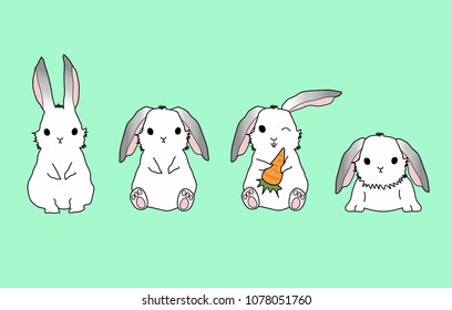 Collection of White Rabbit have Gray Ear