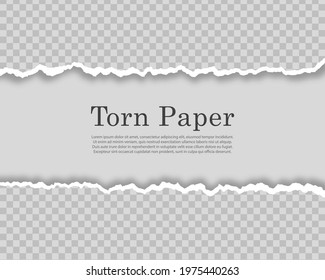Collection of white torn paper. Piece of torn horizontal paper strip.