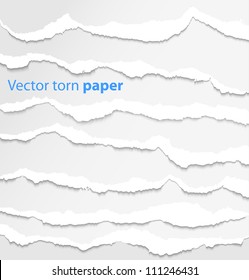 Collection Of White Torn Paper. Vector Illustration