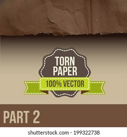 Collection of white torn paper. Vector illustration
