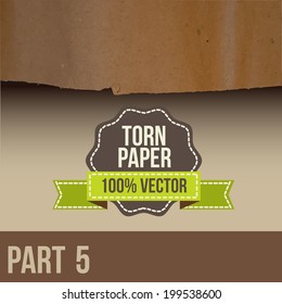 Collection of white torn paper. Vector illustration