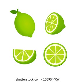 Collection of whole, cut half, slice, piece Green Lemon, fruit pattern vector illustration sketch isolated on white background