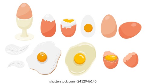 Collection of whole eggs, broken eggs, fried eggs, yolks, eggshells and boiled eggs isolated on white background