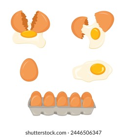 Collection of whole eggs, broken eggs, fried eggs, yolks, eggshells, and boiled eggs illustration