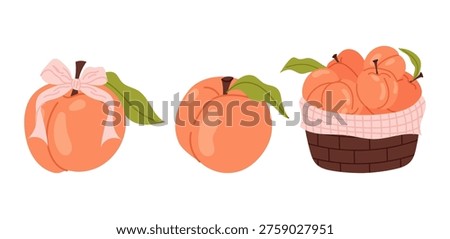 Collection of whole peach fruit, peach with bow and peaches in basket. For food design, packaging, menu and farm branding.