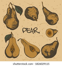 Collection with whole pears and wedges. Vector set for your business. Designed for packaging, postcard, wrapping paper, gift, fabric, print, banner, wallpaper, textile, advertising, web.