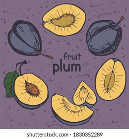 Collection with whole plums and wedges. Vector set for your business. Designed for packaging, postcard, wrapping paper, gift, fabric, print, banner, wallpaper, textile, advertising web.