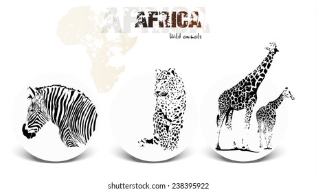 Collection of wild african animals icon, isolated on white