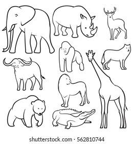 Collection of  Wild Animals sketches/ Vector animal sketches