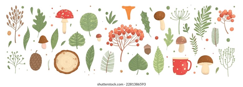Collection of wild blooming meadow flowers isolated on white background and mushrooms. Bundle of wildflowers used in floristry. Set of decorative floral design elements. Flat colorful botanical vector