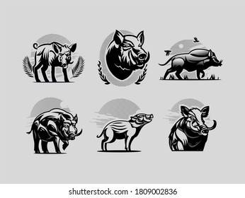 Collection of wild boars. Vector illustration. Wild boar, piglet, hog, tusks