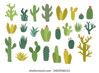 Colección de la ilustración del vector de la planta de cactus silvestres. Ilustración de plantas del desierto