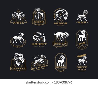 Collection of wild and domestic sheep. A ram, a sheep in various poses and a portrait. Vintage vector emblems.