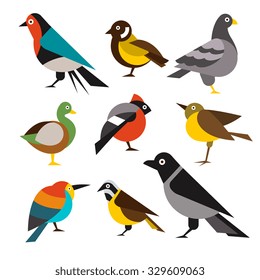 Collection of wild firds in flat design, vector illustration