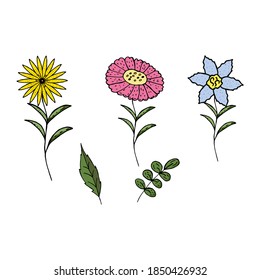 Collection of wild flowers of blue, yellow and pink colors with different petals and shapes, green leaves on a white background. Hand illustration of spring and summer flowers.