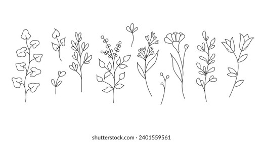 Collection of wild flowers and leaves. Linear vector illustration isolate don white background
